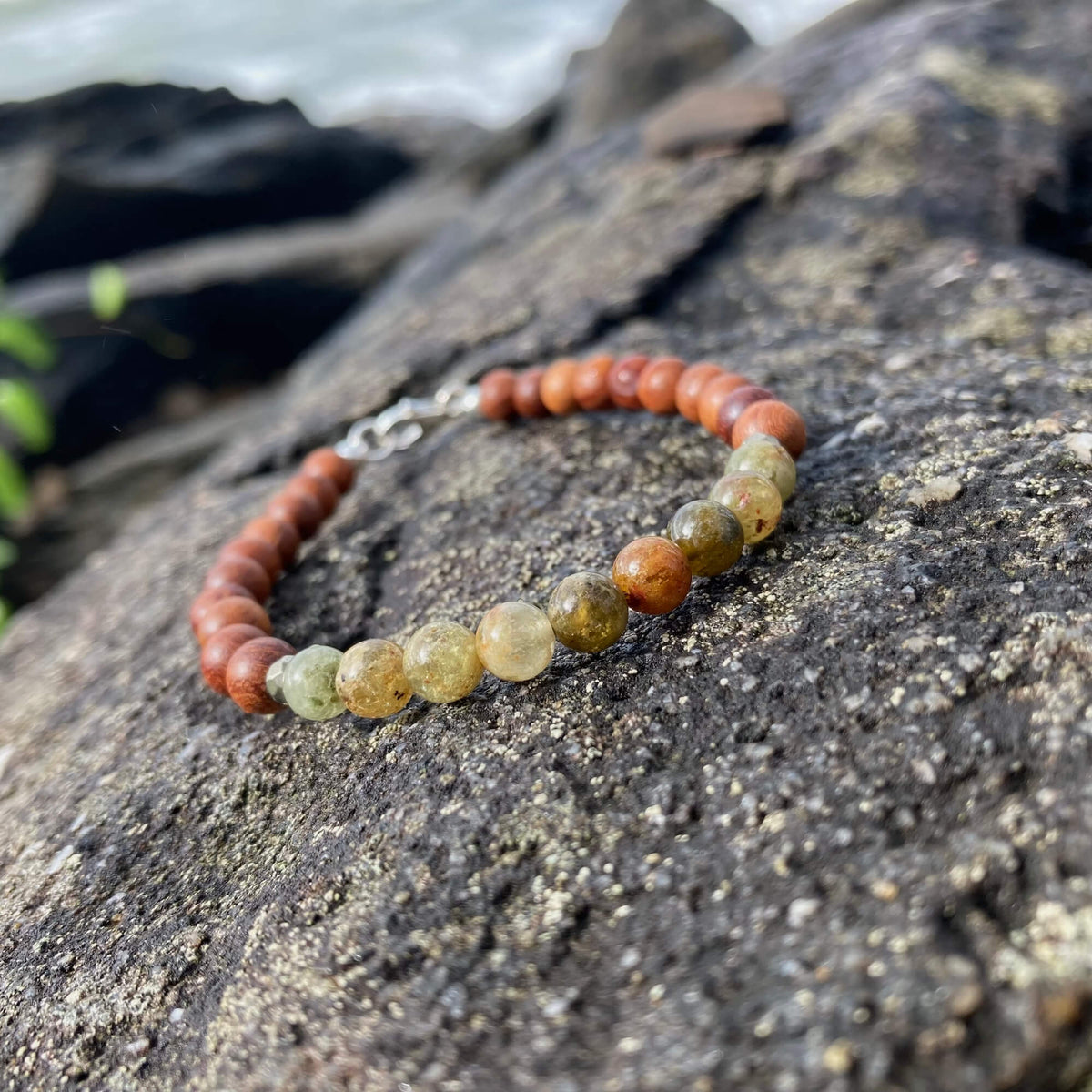 Growth bracelet on a rock with the sea blurred behind