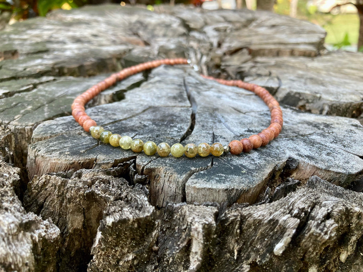 Growth necklace on a cracked tree stump with trees behind